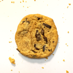 Gourmet chocolate chunk cookie